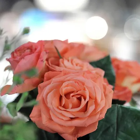 Hotel-restaurant Roter Ochsen Hotel Lauchheim