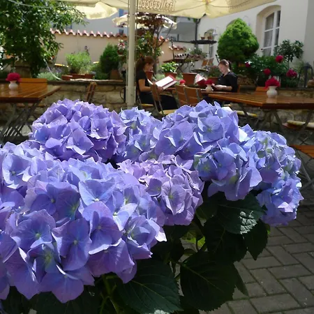 Hotel-restaurant Roter Ochsen 3* Lauchheim