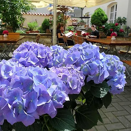 Hotel-restaurant Roter Ochsen Lauchheim