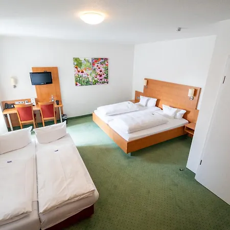 فندق Hotel-restaurant Roter Ochsen 3*
