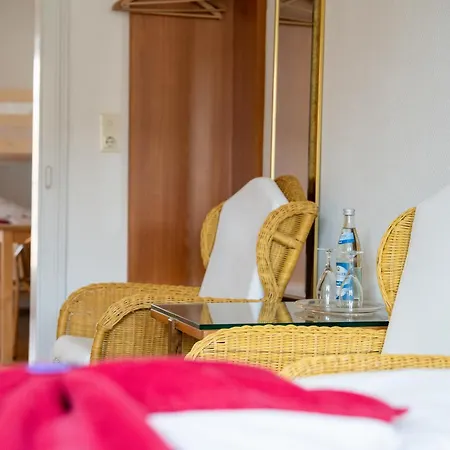 Hotel-restaurant Roter Ochsen 3*