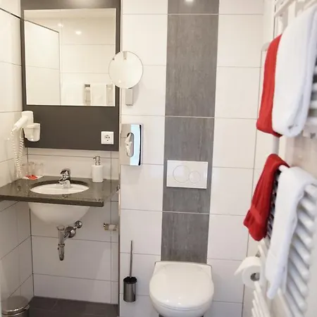 Hotel-restaurant Roter Ochsen Hotel 3*