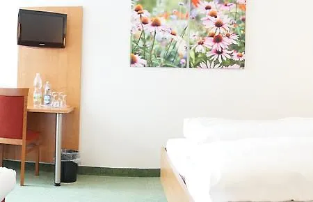 Hotel-restaurant Roter Ochsen 호텔 3*