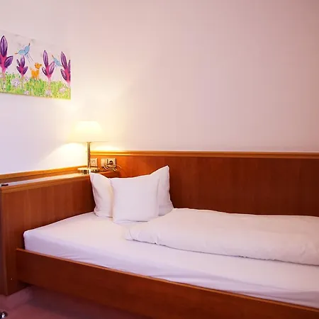 Hotel-restaurant Roter Ochsen 호텔 3*