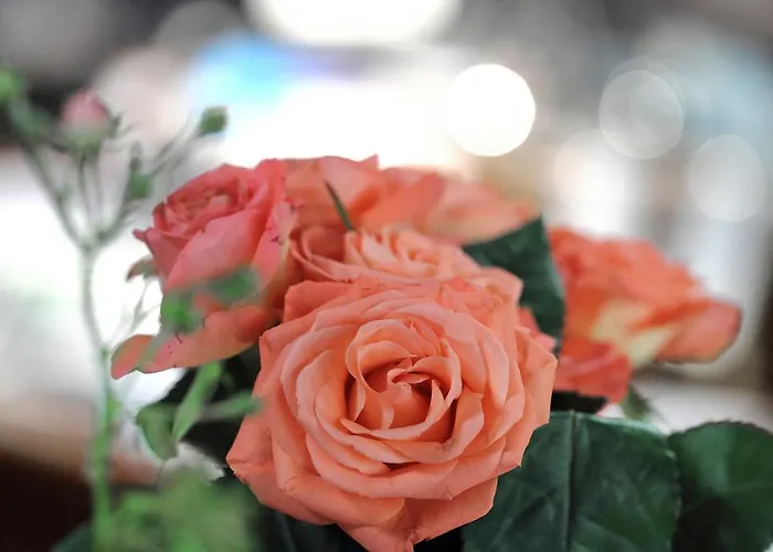 Hotel-restaurant Roter Ochsen Hotel Lauchheim