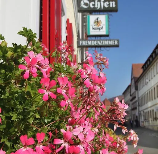 Hotel-restaurant Roter Ochsen Hotel