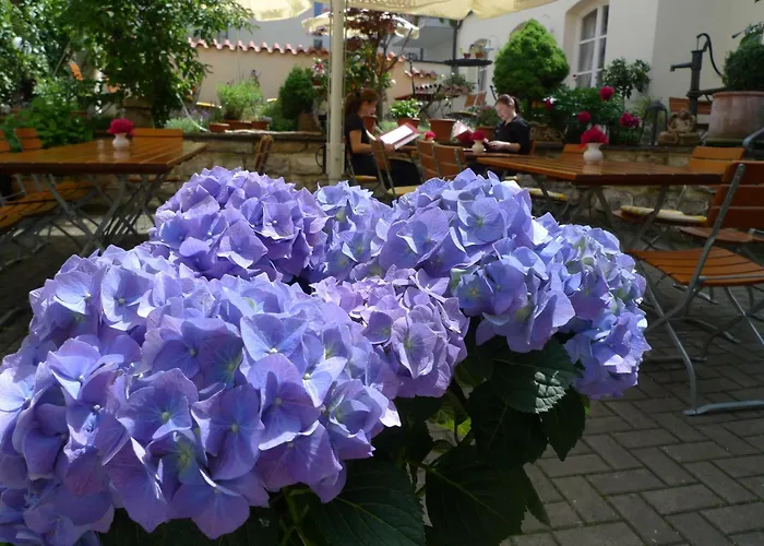 Hotel-restaurant Roter Ochsen 3* Lauchheim