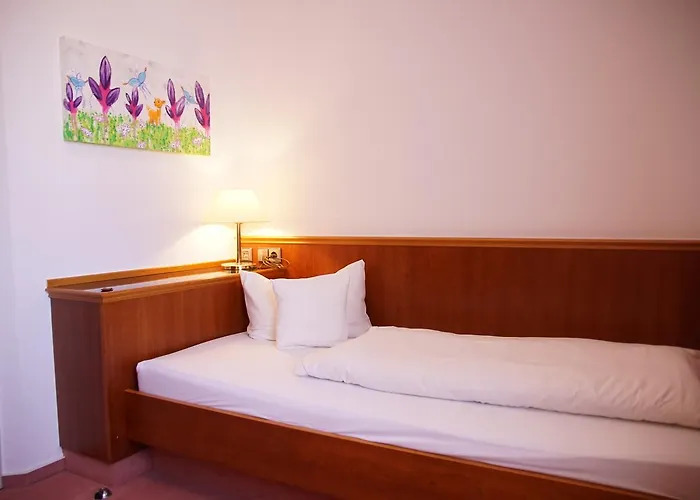 Hotel-restaurant Roter Ochsen Hotel 3*